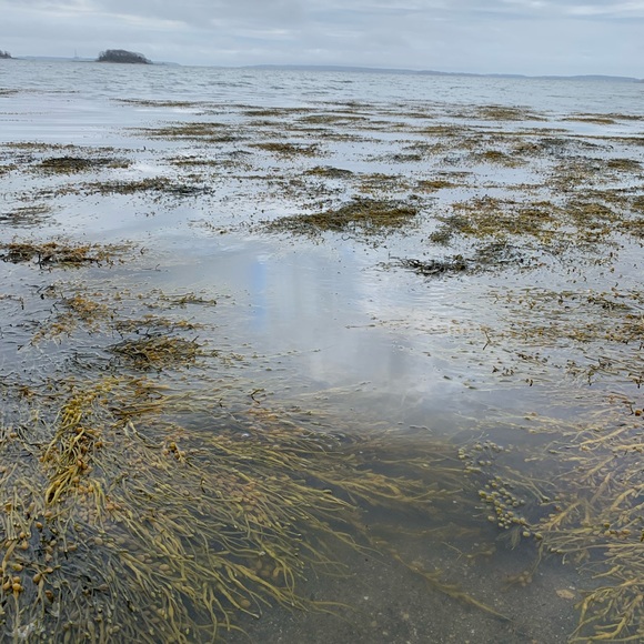 Meet your Posher, Anna - Picture 7 of 14